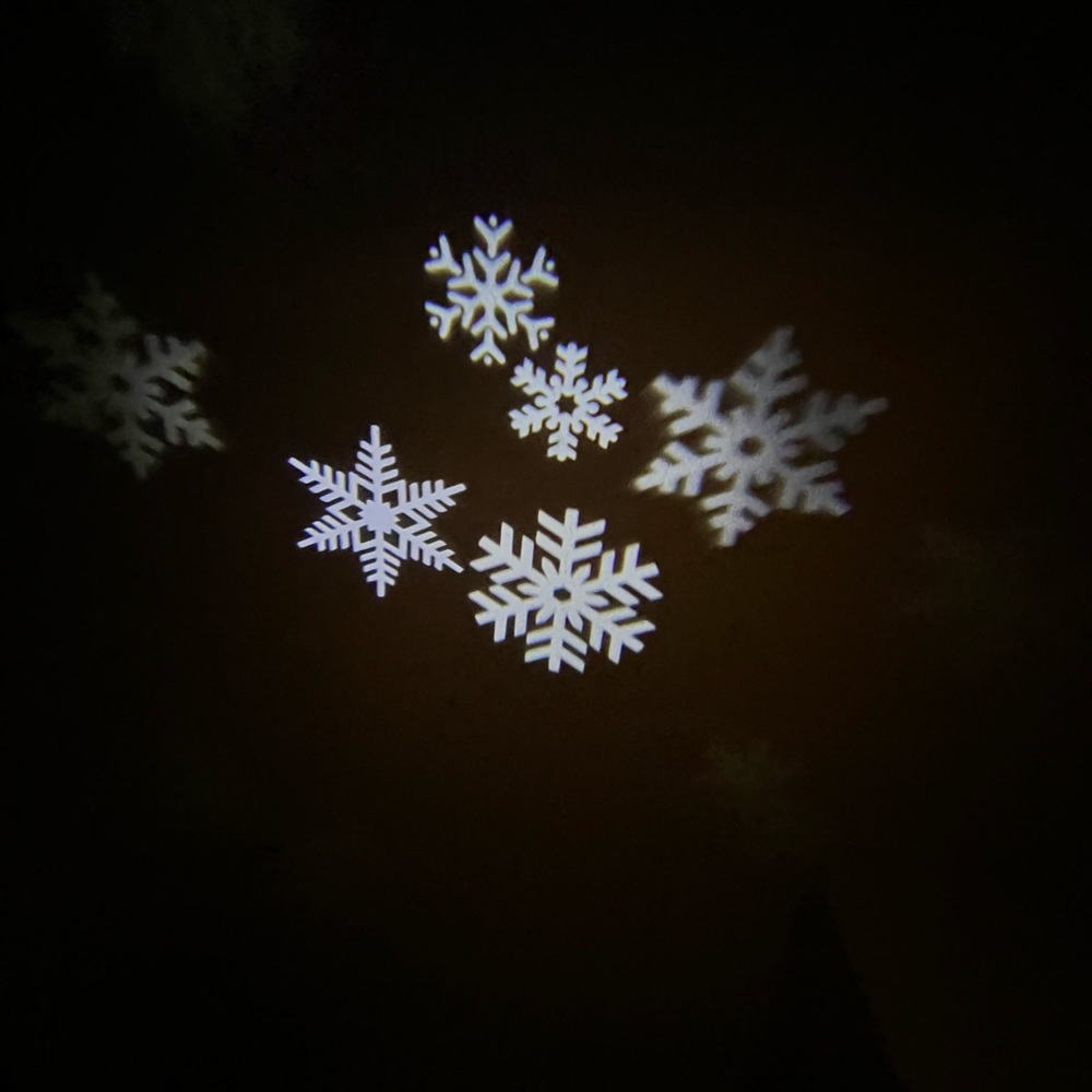 Christmas projection light